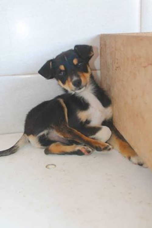 მეტისი უსახელო