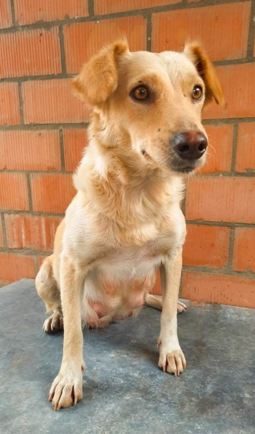 მეტისი კუსტბის ტერიტორიაზე ნაპოვნი