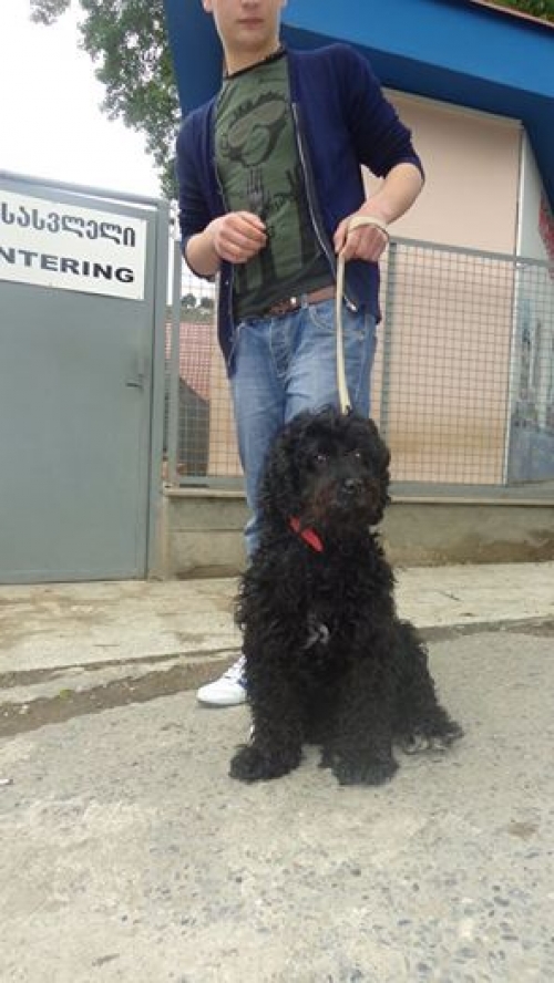 ბალონკა ლულუ