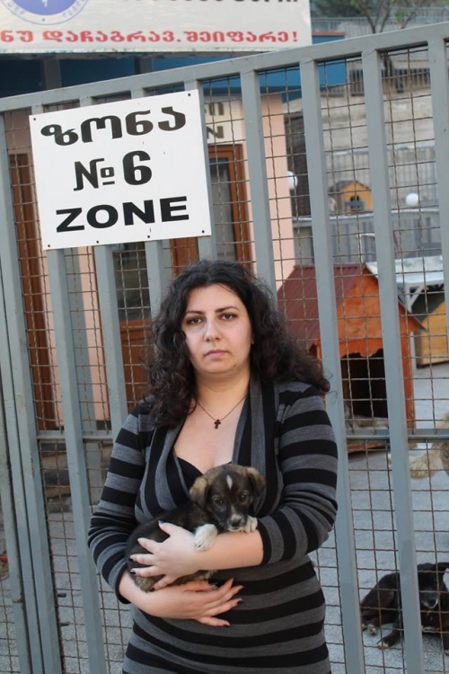 მეტისი უსახელო