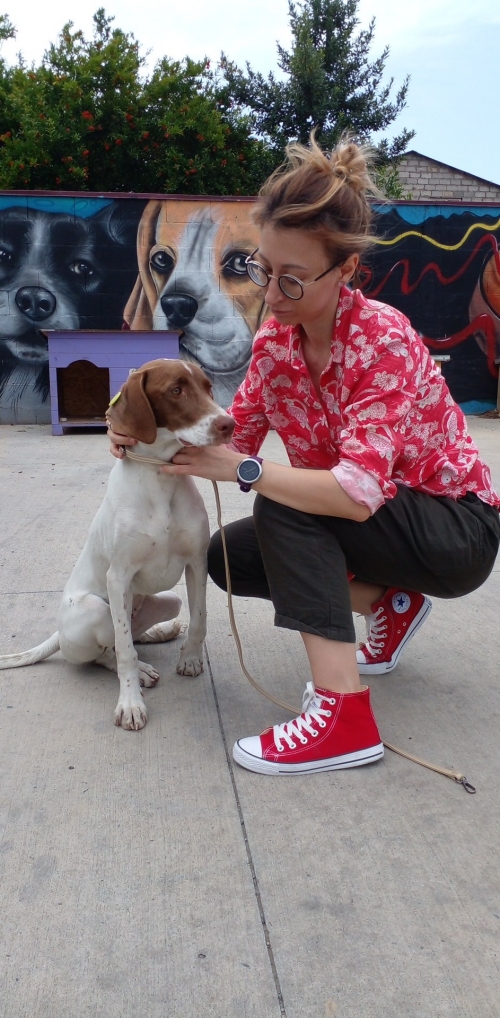 მეტისი თავისუფლების მოედანი