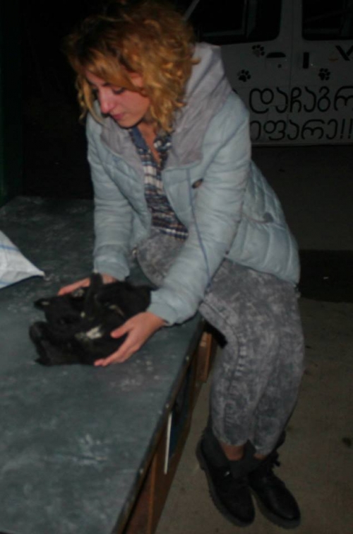 მეტისი უსახელო