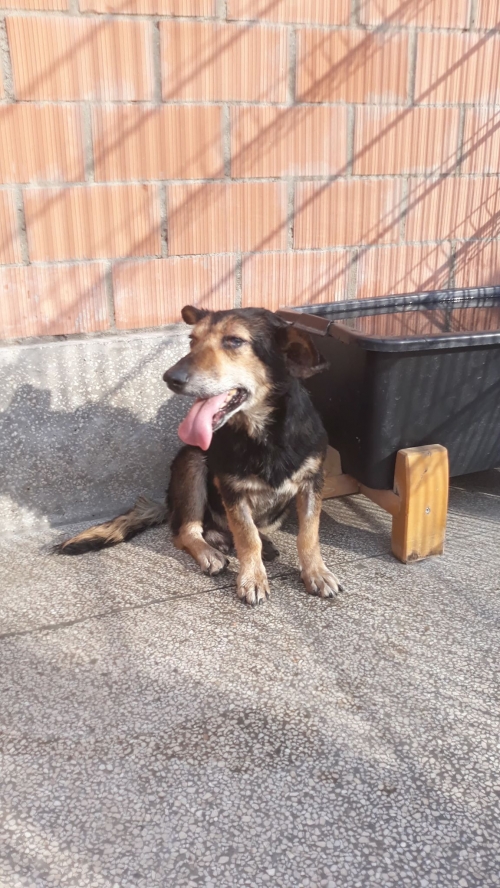 მეტისი უსახელო