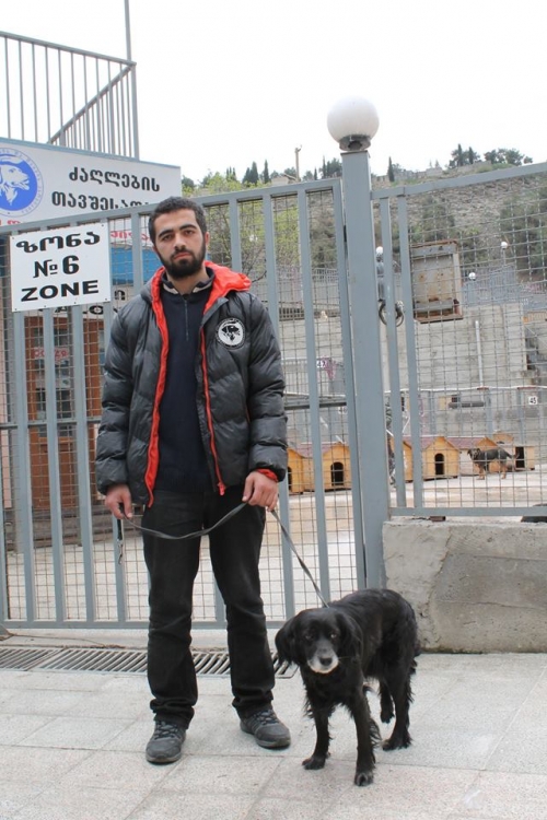 მეტისი უსახელო