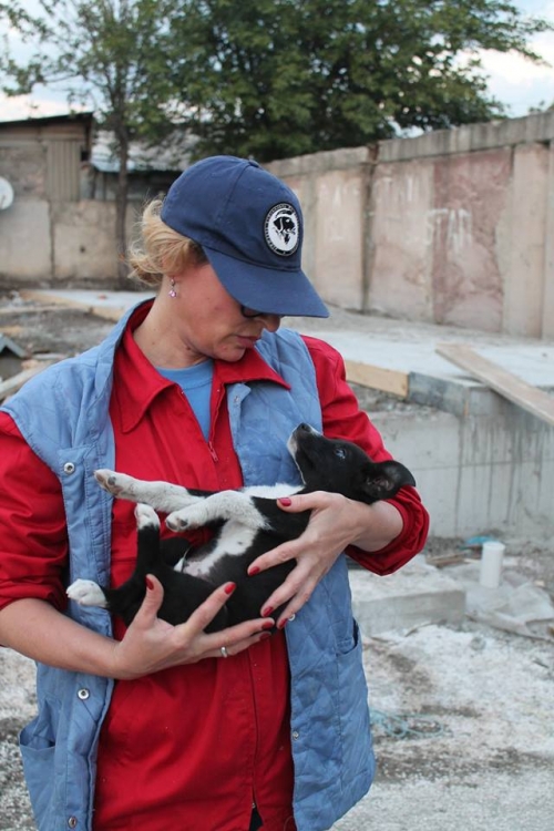 მეტისი უსახელო