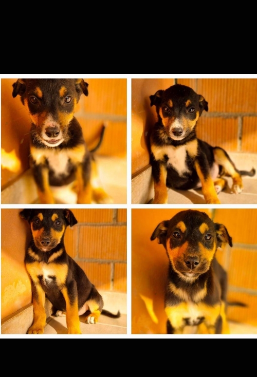 მეტისი ნაპოვნია კახეთის გზატკეცილზე