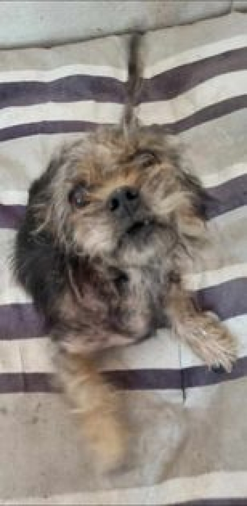 ბალონკა ქაერო სმე 3 ქუჩა