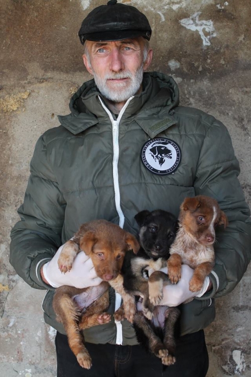 მეტისის ლეკვები უსახელო