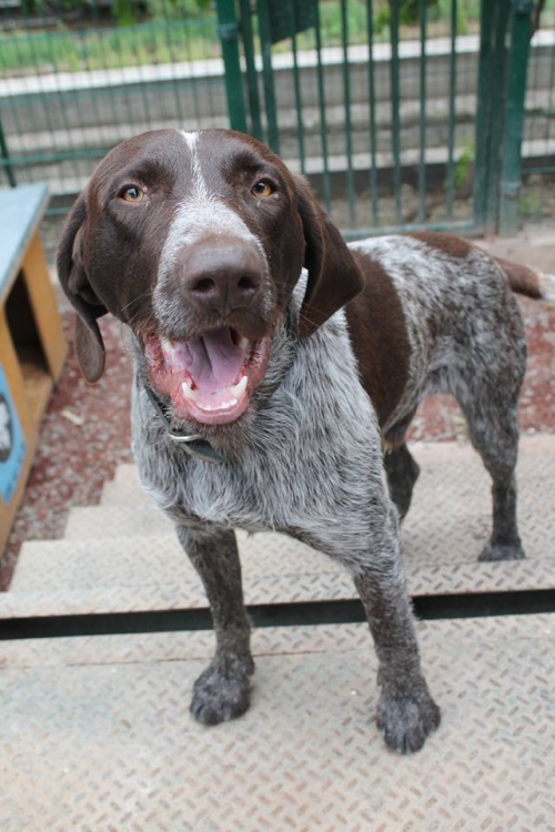 კურცხაარი უსახელო