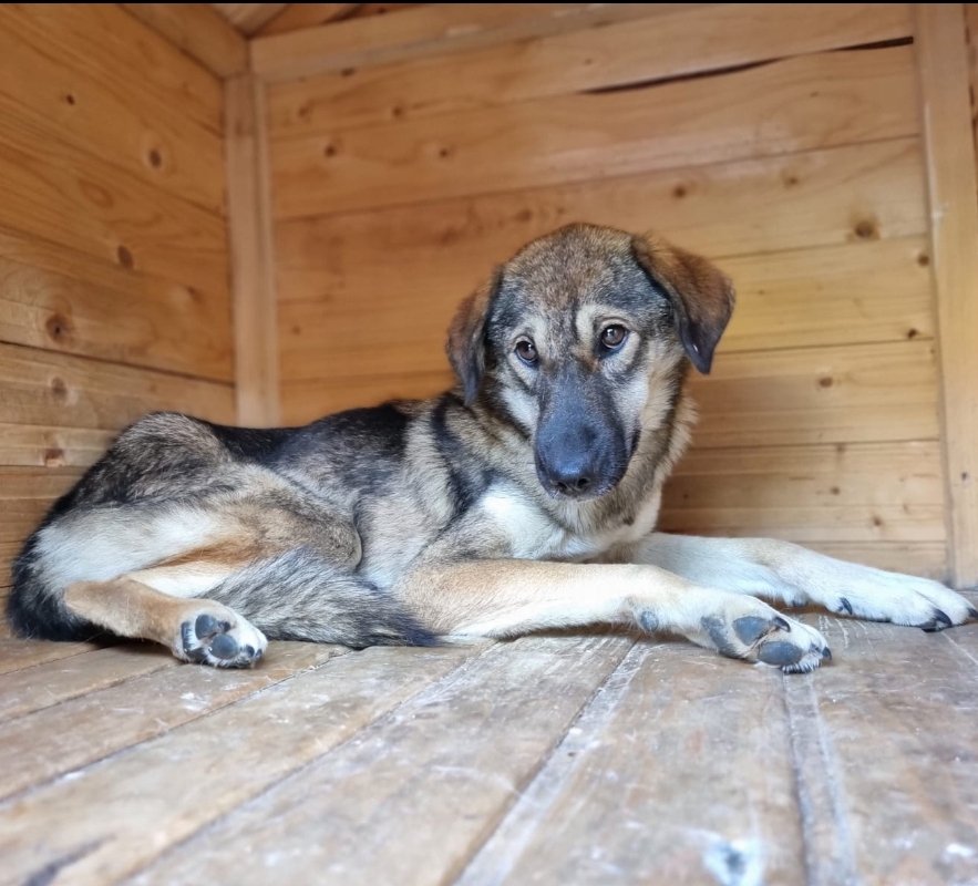 მეტისი. კახეთის ახალი ავტობანი