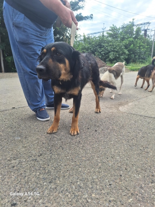 მეტისი ჰუალინგი სავაჭრო ცენტრი