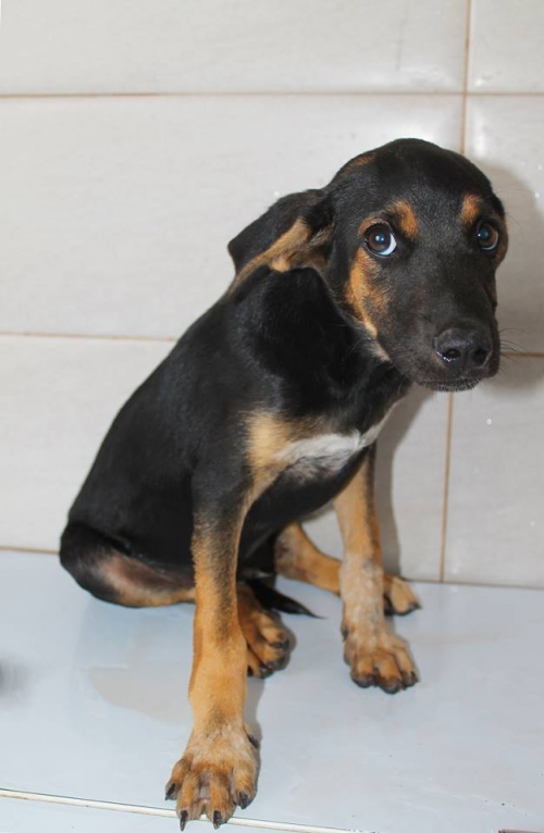 მეტისი უსახელო