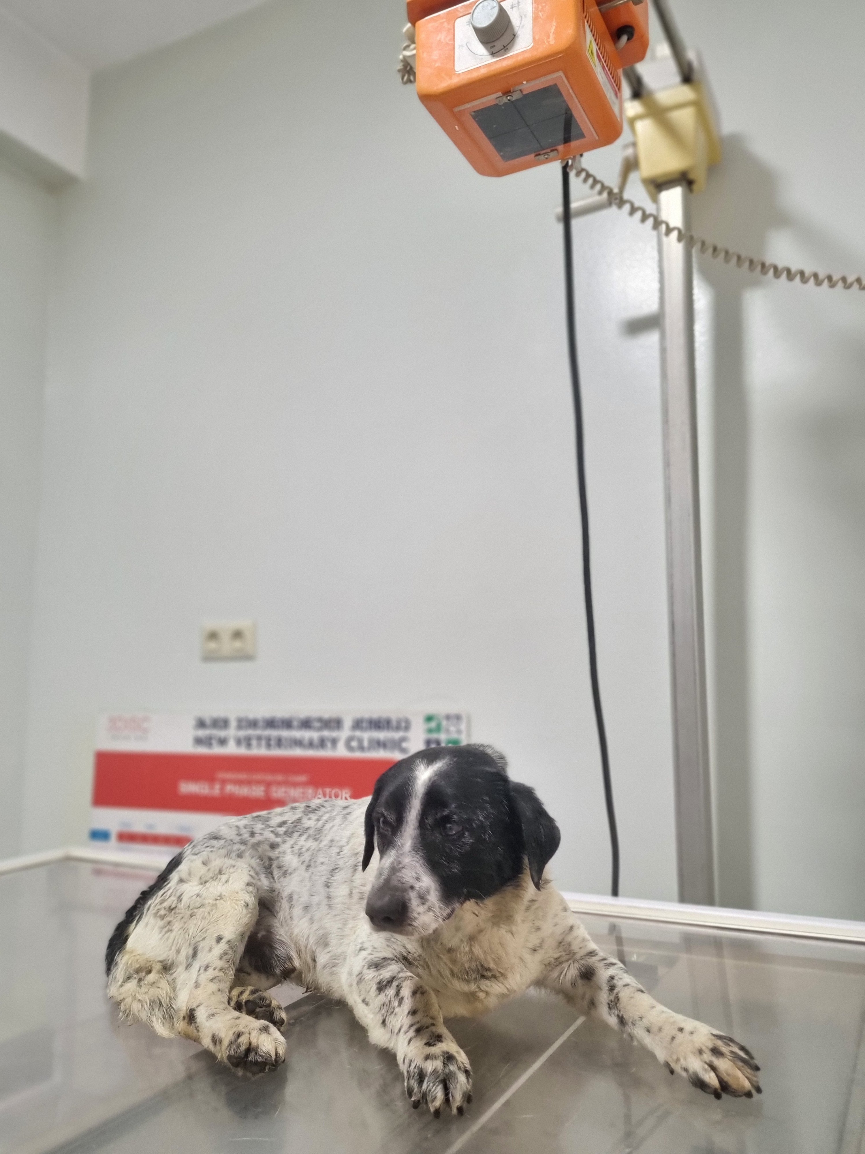 მცხეთის რაიონი