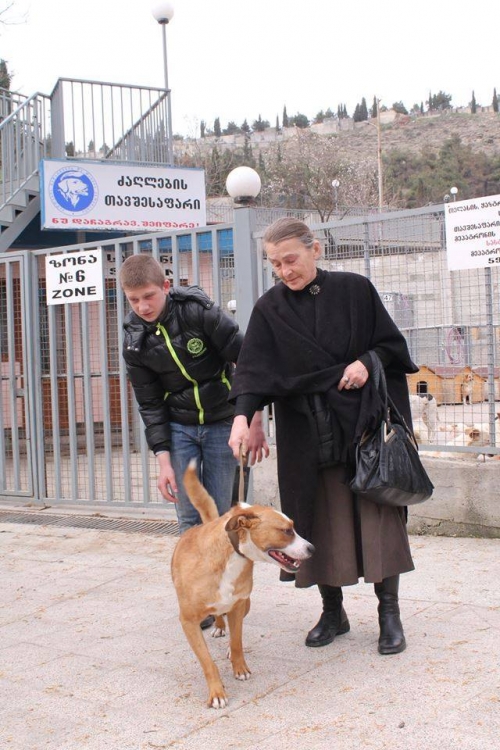 მეტისი უსახელო