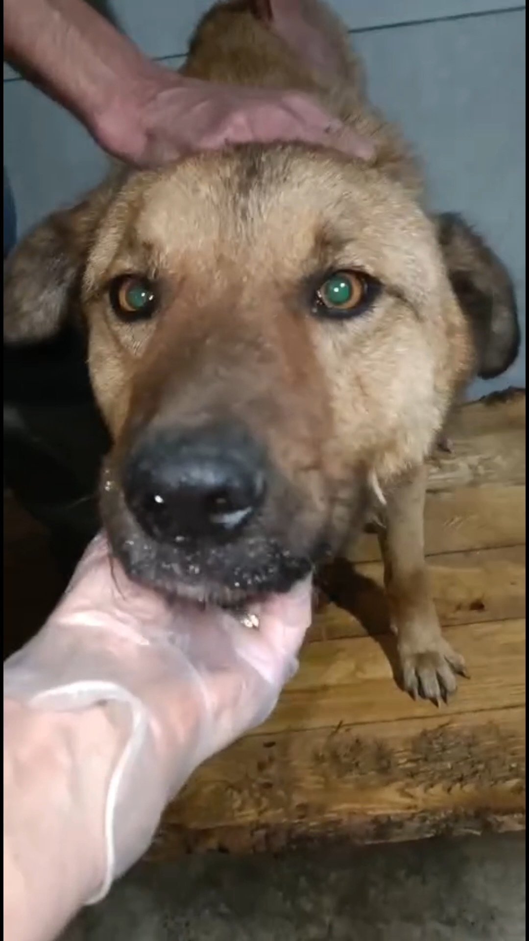 მეტისი. მარნეულის იუსტიციის სახლი