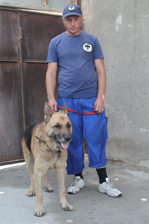 გერმანული ნაგაზი როკი