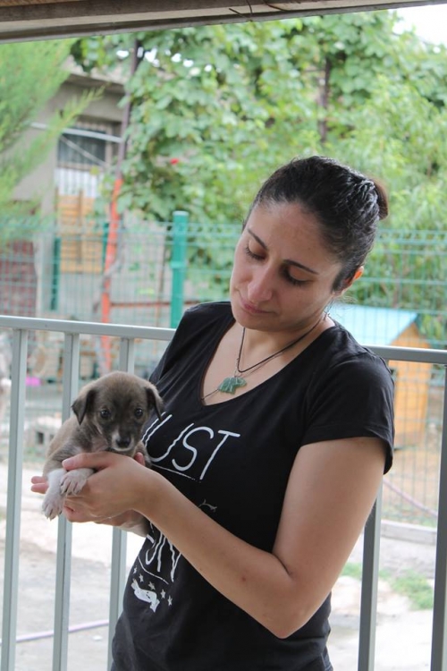 მეტისი უსახელო