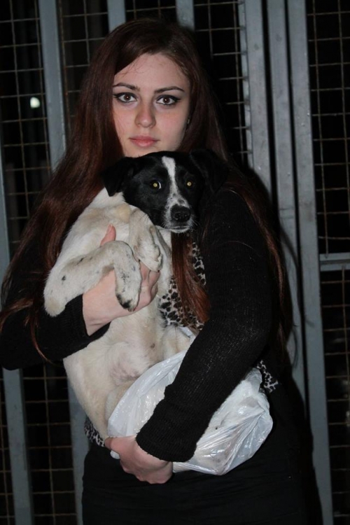 მეტისი უსახელო