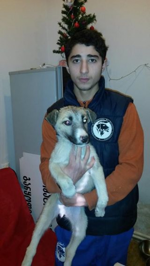 მეტისი უსახელო