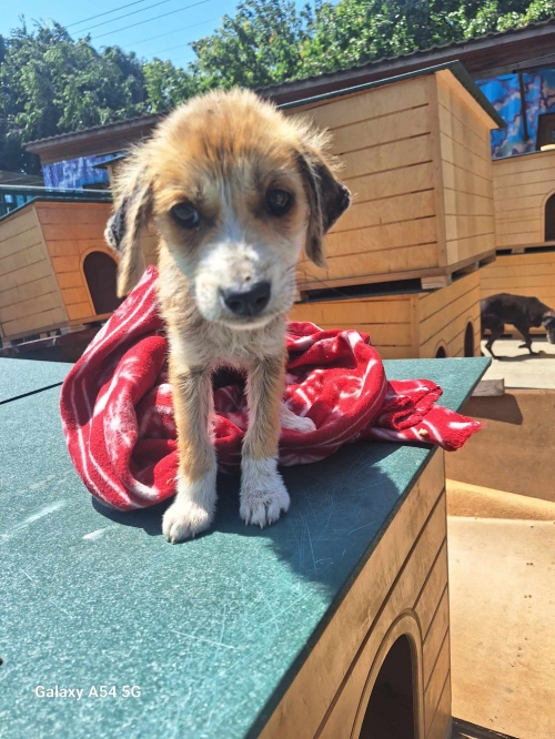 მეტისი თბილის ზღვა შემოვლით გზაზე იპოვა