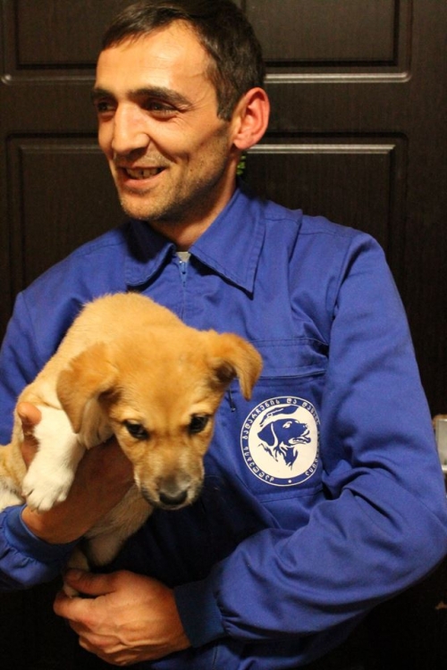 მეტისი ბათურა