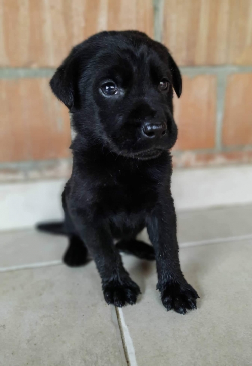 მეტისი მცხეთის ქუჩა