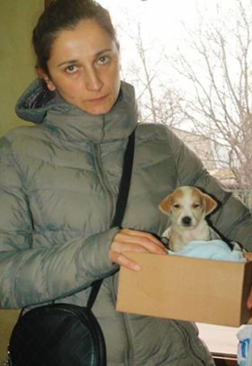 მეტისი უსახელო