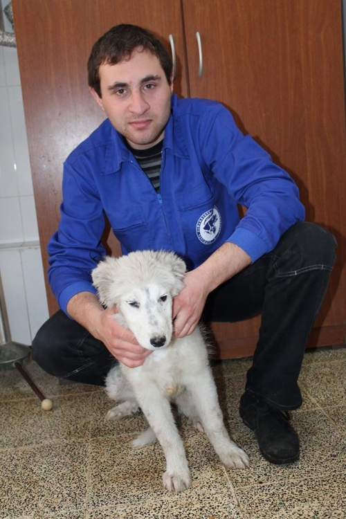 მეტისი უსახელო