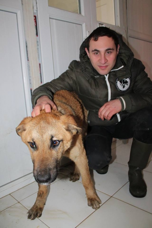 მეტისი უსახელო