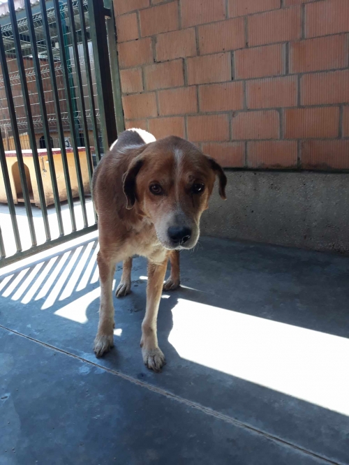 მეტისი თბილისის ზღვა