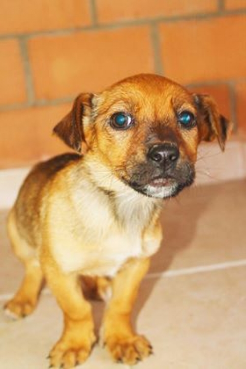 მეტისი უსახელო