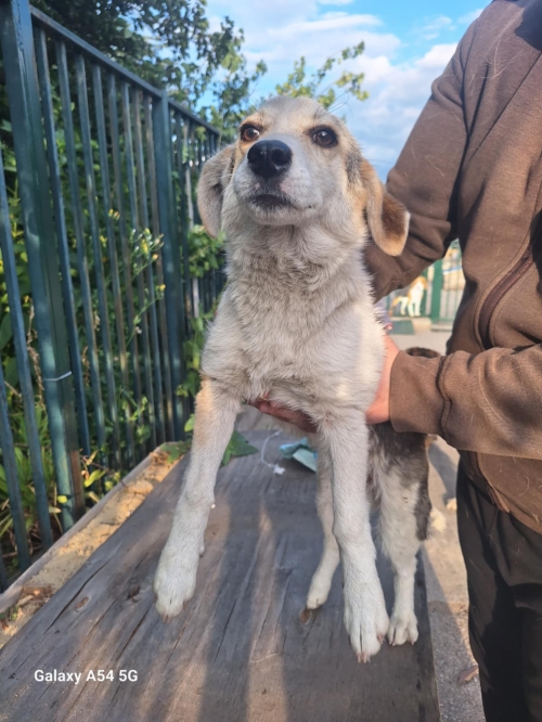 მეტისი დიღმის მასივი 2 კვარტალი 1 კორპუსი