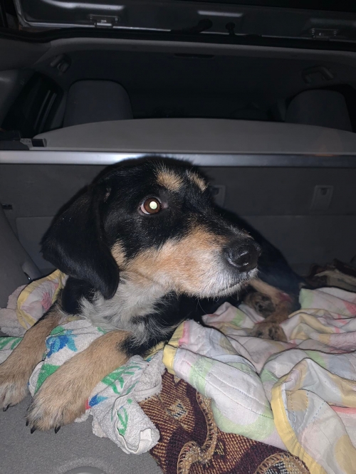 მეტისი იპოლიტე ივანოვის ქუჩა