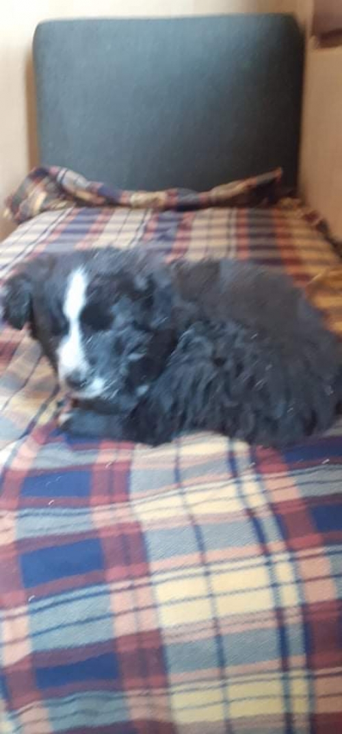 მეტისი უსახელო