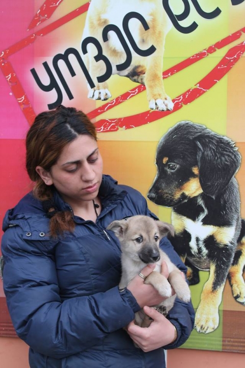 მეტისი უსახელო