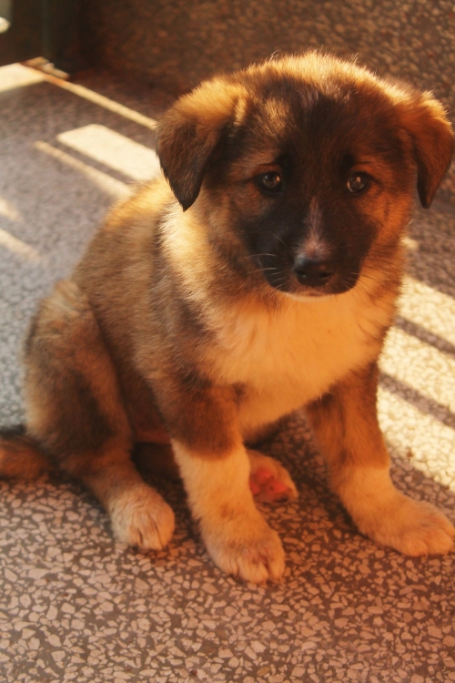 მეტისი უსახელო