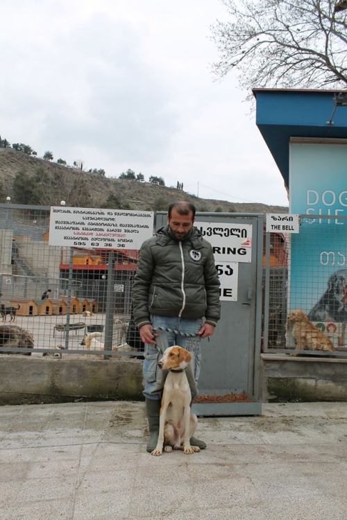 მეტისი უსახელო