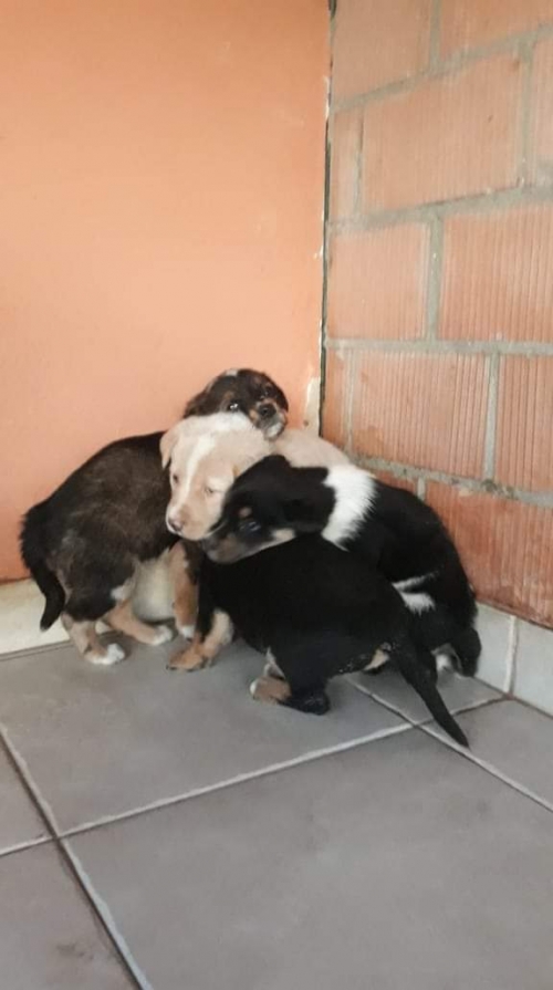 მეტისი უსახელო