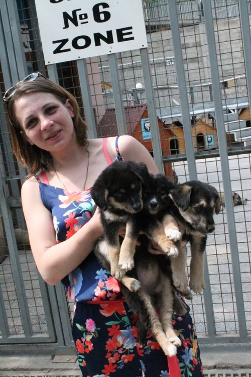 მეტისის ლეკვები უსახელო