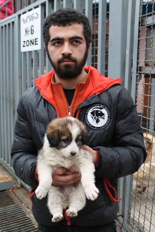 მეტისი უსახელო