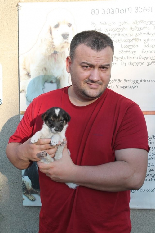 მეტისი უსახელო