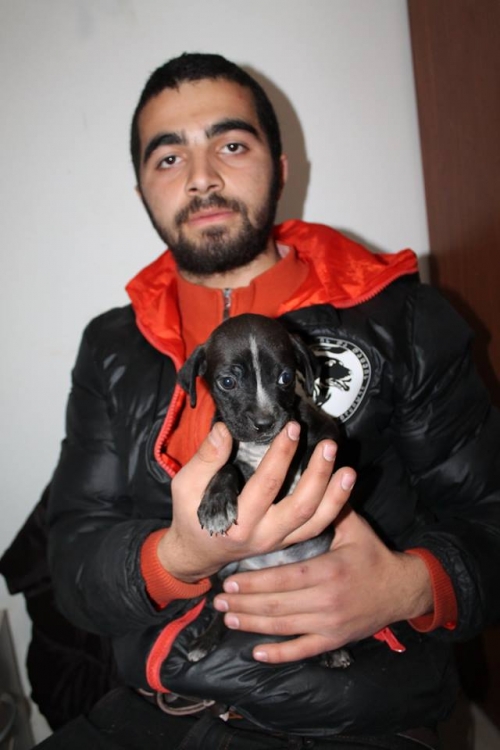 მეტისი უსახელო