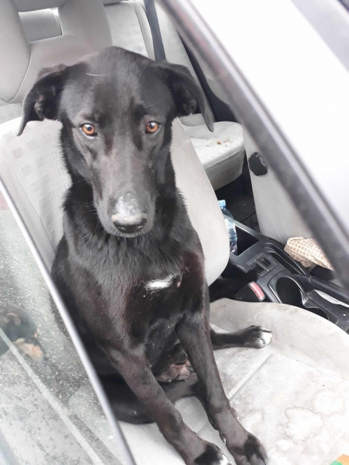 მეტისი სჯული. კასპის რაიონი