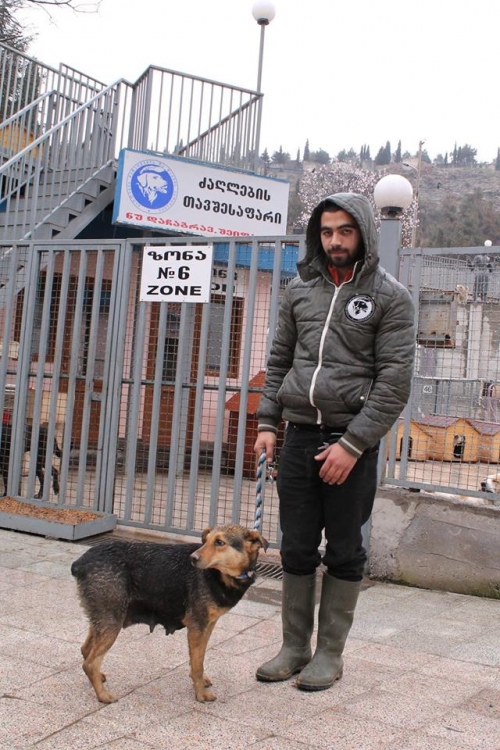 მეტისი უსახელო