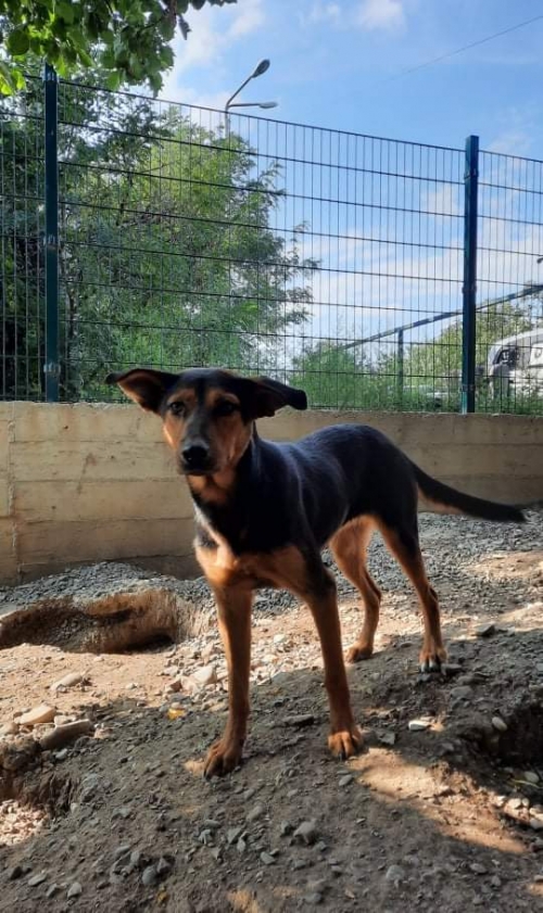 მეტისი ნაპოვნია კაეროს მე 3 ქუჩაზე