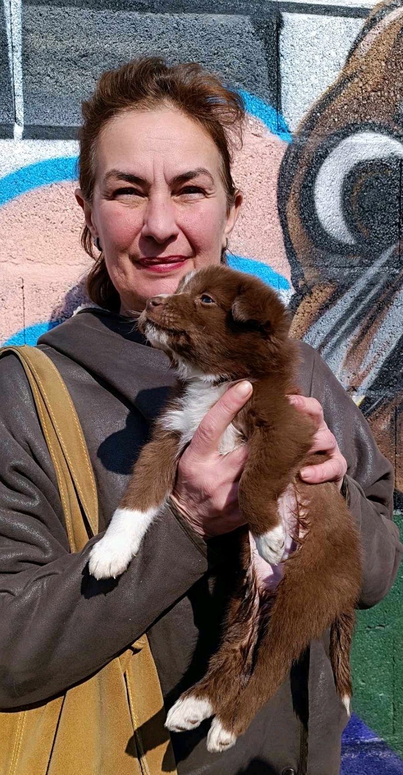 ნატახტარი. მარცვალა