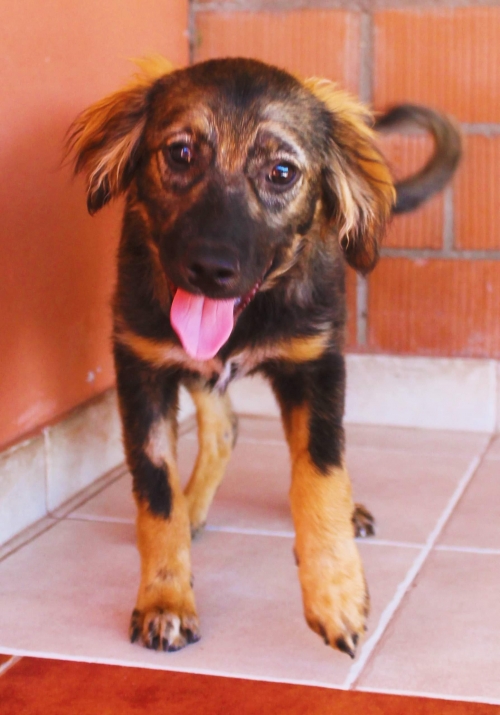 მეტისი უსახელო