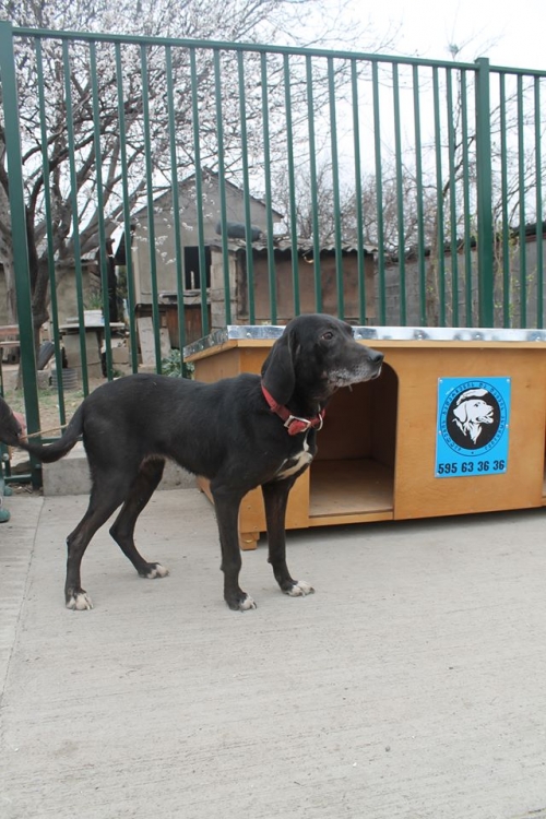 მეტისი უსახელო