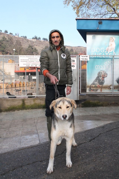 მეტისი ლაკი