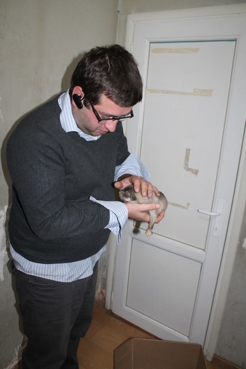 მეტისი უსახელო